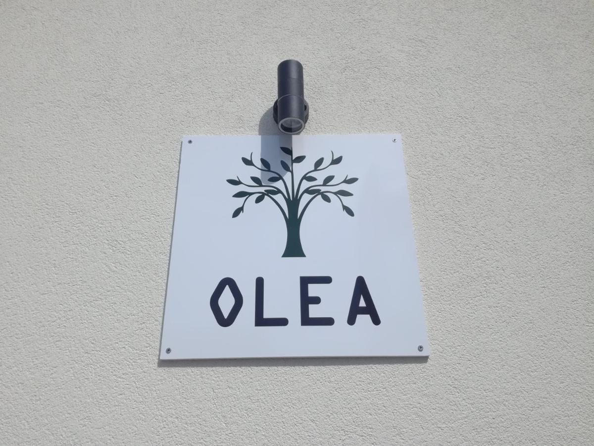 Olea Appartement Tivat Buitenkant foto